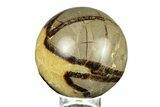 Polished Septarian Sphere - Madagascar #260042-1